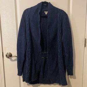 Blue LL Bean cardigan